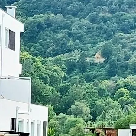 Apartment Dry Lake Tirana